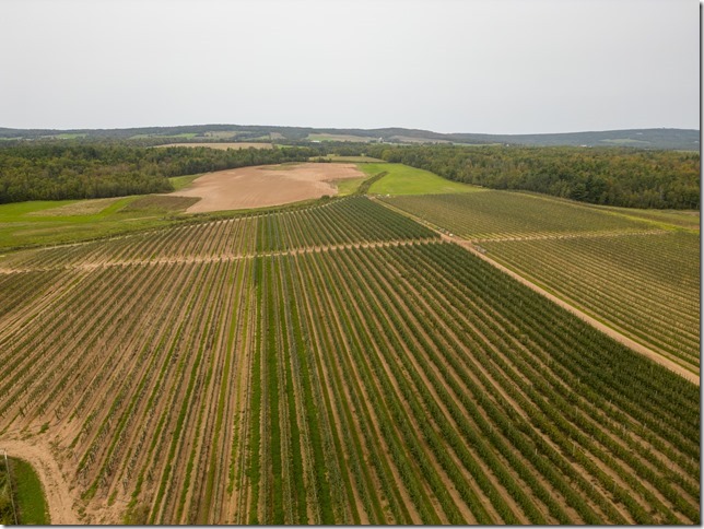 DJI_0237_ps