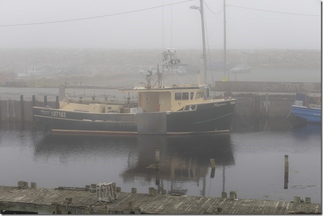 IMG_0438-Enhanced-NR_ps