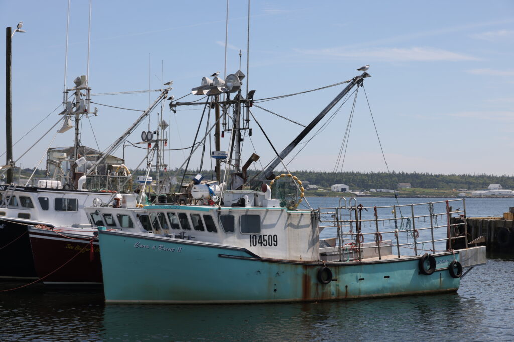 685A0486