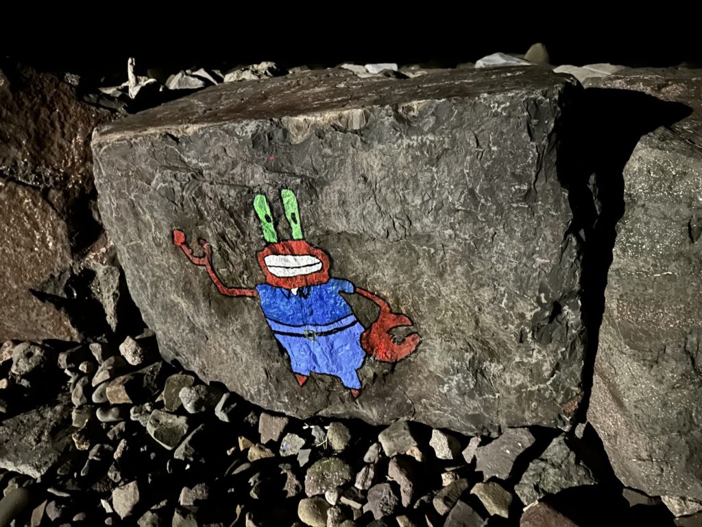 490133502 1328111165424860 1022815481395259913 n